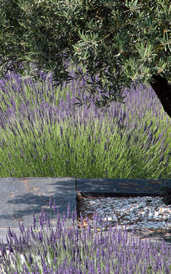 Maçonnerie paysagère/Terrassement 